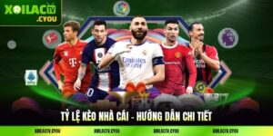 Tỷ Lệ Kèo Nhà Cái - Thông Tin Quan Trọng Nhất Cần Biết